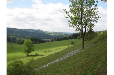 Přírodní rezervace Stráž - Skalka