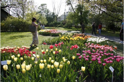 Flora Olomouc