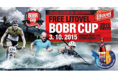 Bobr Cup