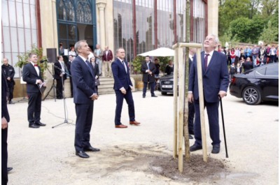 Vysazením památného stromu završil prezident Miloš Zeman návštěvu Olomouckého kraje