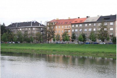 K zemi půjde padesátka javorů, na jejich místě bude protipovodňová zídka lemovaná keři	