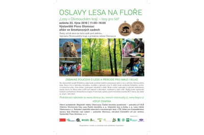 OSLAVY LESA NA FLOŘE