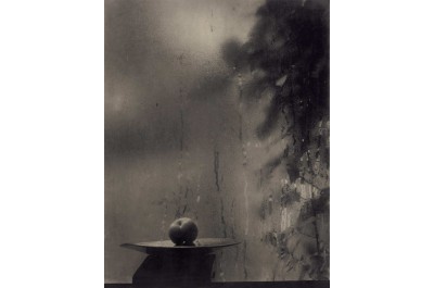 Na první pohled / Výběr z české fotografie 20. a 21. století 