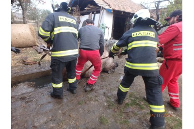 Kuriózní zásahy hasičů v roce 2016