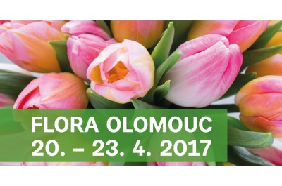 FLORA OLOMOUC 2017, jarní etapa