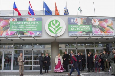 Začala jarní etapa Flory Olomouc
