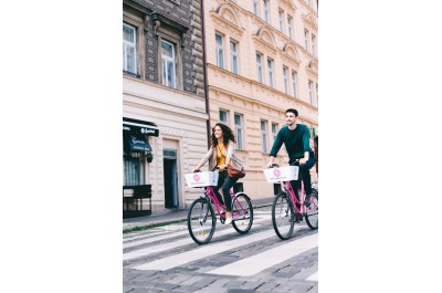 Na rekolech nejrychleji a ještě k tomu zdarma          Foto: Vu Minh Hieu