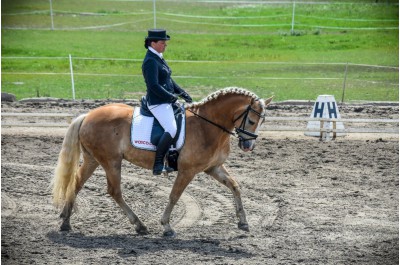 Závod koní už poosmé pomohl hendikepovaným dětem a starším lidem     Foto: Tereza Bláhová