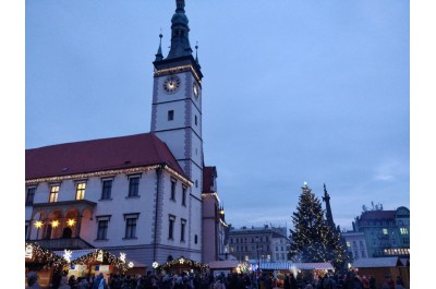 Dny dobrovolnictví v Olomouckém kraji