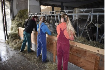 Studenti ze Zábřeha okusili život v Itálii. Starali se o hosty, skot i jabloňové sady