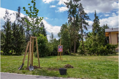 Hejtman zasadil jubilejní lípu. Připomíná osobnost arcibiskupa Rudolfa Jana
