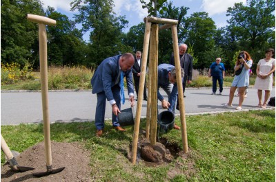 Hejtman zasadil jubilejní lípu. Připomíná osobnost arcibiskupa Rudolfa Jana