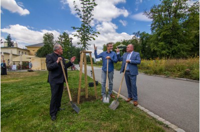 Hejtman zasadil jubilejní lípu. Připomíná osobnost arcibiskupa Rudolfa Jana