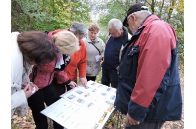Olomoucký kraj podpoří aktivní život seniorů     Archivní foto