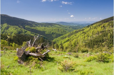 Cestovní ruch bude koordinovat nová krajská centrála 