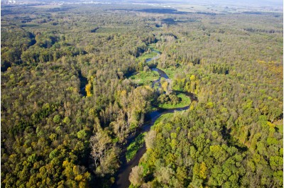 Komáři dostanou přes sosák. Kraj přispěje obcím na postřiky