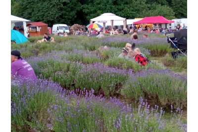 V Bezděkově proběhl tradiční levandulový festival