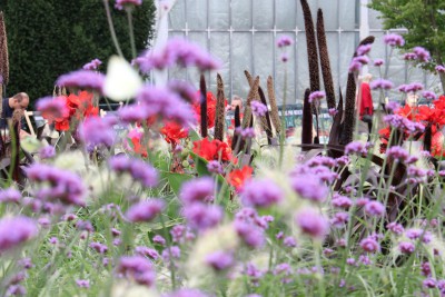 Začala letní etapa výstavy Flora Olomouc