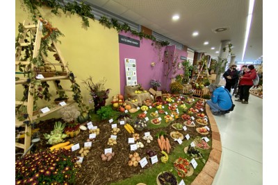 Podzimní Flora odstartovala, nabízí i regionální potraviny