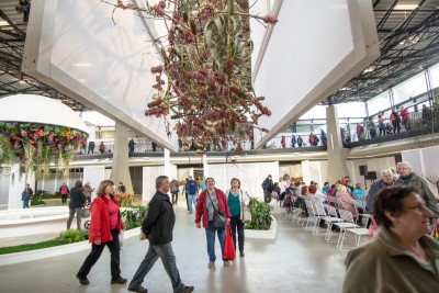 Svátek květin na Výstavišti Flora Olomouc Foto: Jan Krčmář