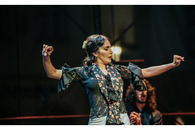 Tanečníci se vlnili v divokém rytmu flamenca	