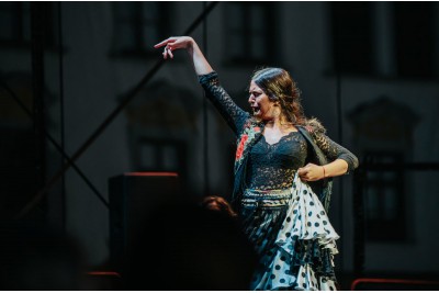 Tanečníci se vlnili v divokém rytmu flamenca	