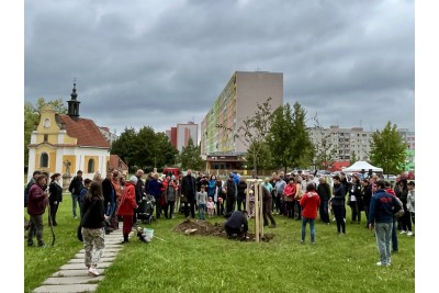 Hejtman sázel javor v parku Lásky a Přátelství