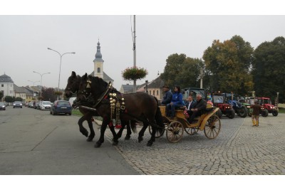 Mistrovství České republiky v orbě