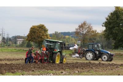 Mistrovství České republiky v orbě