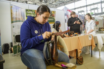 Burza práce a vzdělání v Olomouci