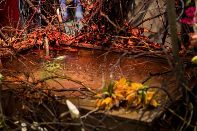 Olomouc se proměnila v barevné království. Jarní Flora odstartovala