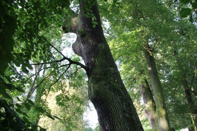 img-2941.jpg