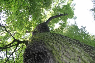 img-2945.jpg