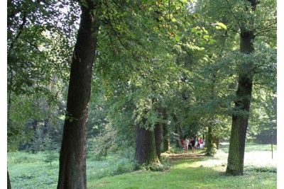 img-2963u.jpg