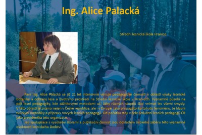 palacka.jpg