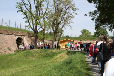 img-8638.jpg