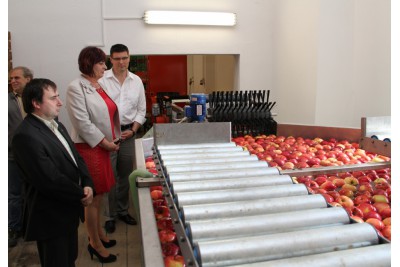 img-9686.jpg