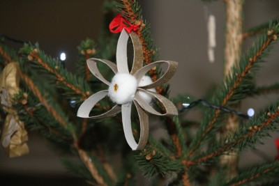 img-0972.jpg