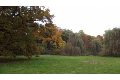 dscf2877.jpg