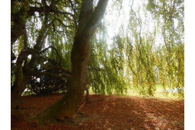 dscn2496.jpg