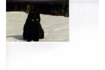 Zimní fotosoutěž