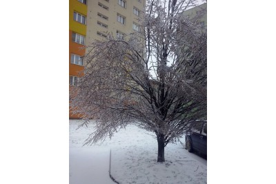 Zimní fotosoutěž