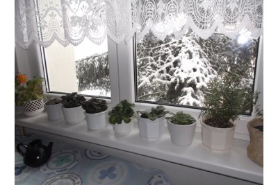 Zimní fotosoutěž