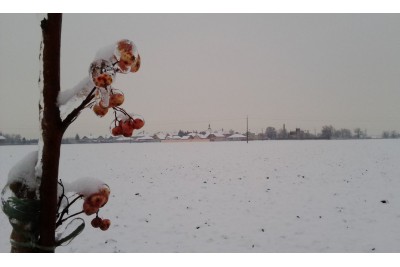 Zimní fotosoutěž