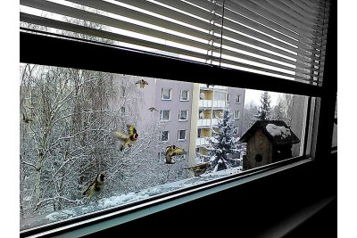 Zimní fotosoutěž