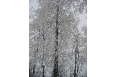 Zimní fotosoutěž