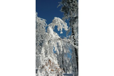 Zimní fotosoutěž