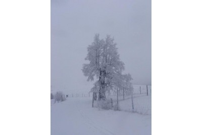 Zimní fotosoutěž