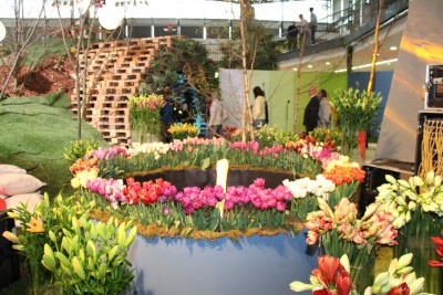 img-3304.jpg
