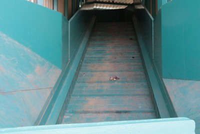 img-8922.jpg